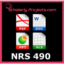 NRS 490 Professional Capstone and Practicum