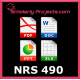 NRS 490 Professional Capstone and Practicum NRS 490 Professional Capstone and Practicum