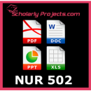 NUR 502 Theoretical Foundations for Nursing Roles And Practice