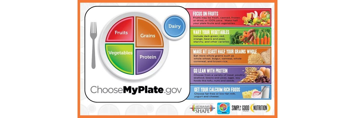 SCI 228 Week 1 Lab | MyPlate Plan